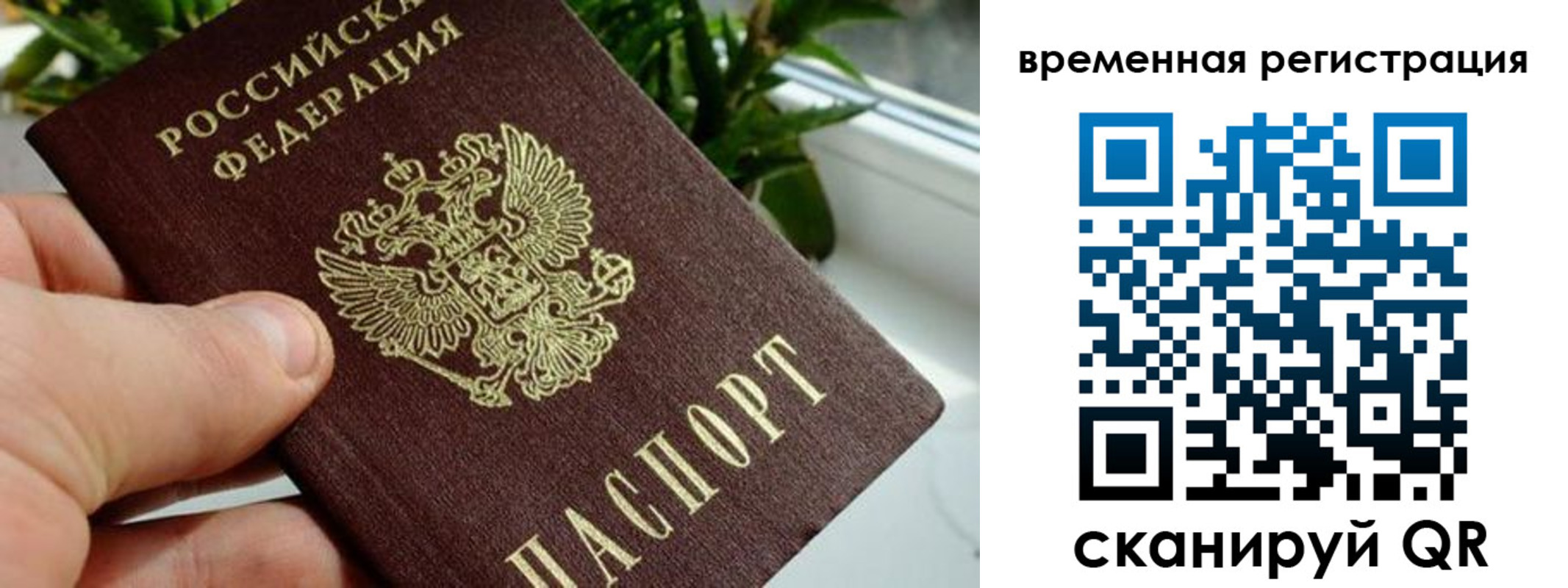 прописка поиск в Малгобеке